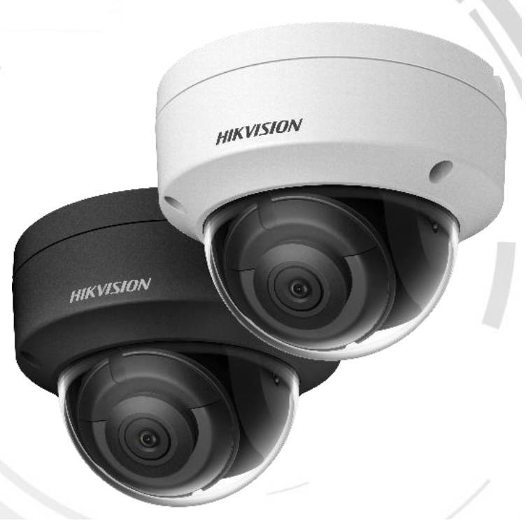 DS-2CD2143G2-I(S)