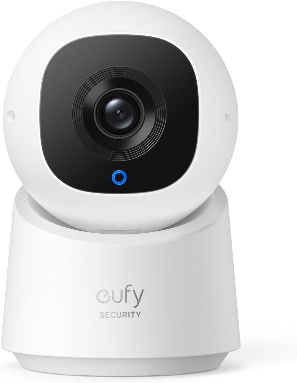 Indoor Cam C210